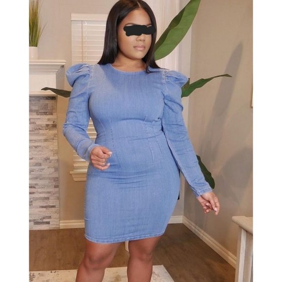 Waisted Puff Sleeve Denim Mini Dress